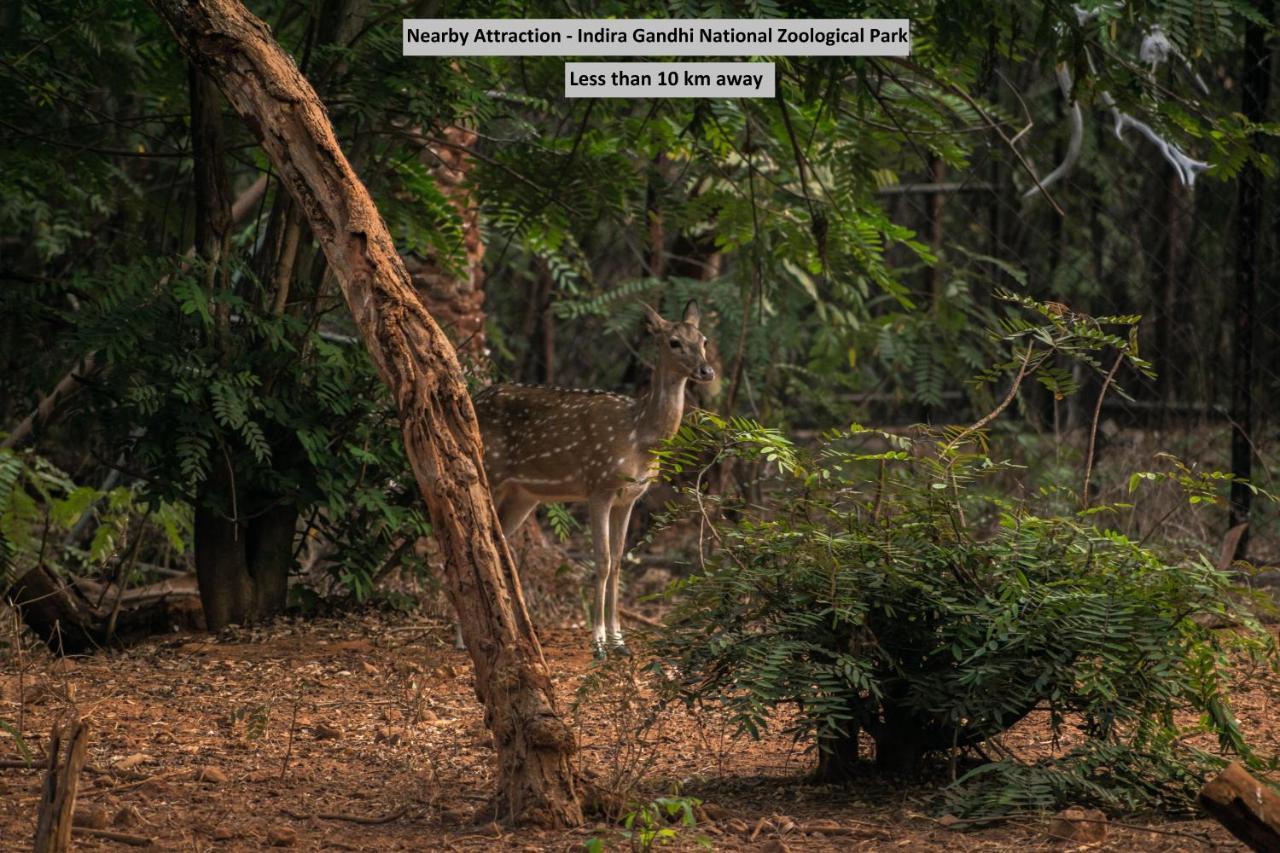 Oyo 8929 Stay Siddhartha Residency Jalaripeta Luaran gambar